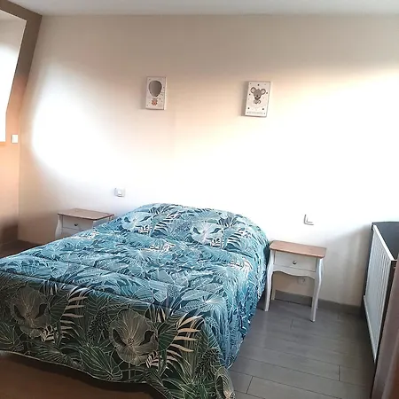 Of08 - Maison Entre Et Forêt Appartement Oust-Marais